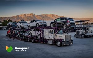 Vehicle Shipping To The Endless Summer