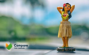 Hawaii Auto Transport