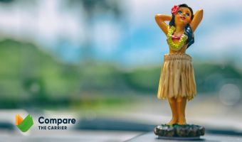 Hawaii Auto Transport