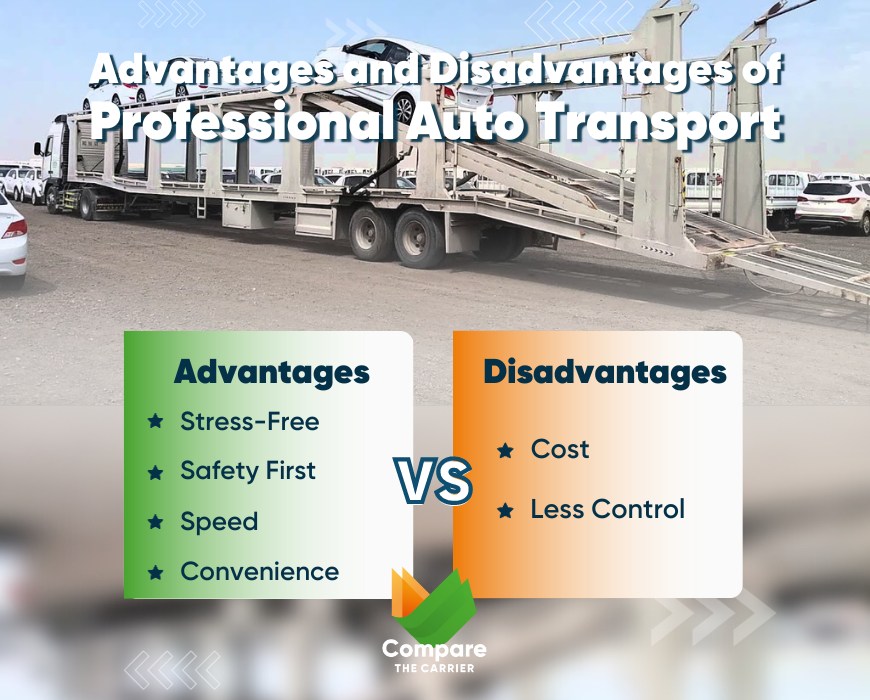 professional auto transport