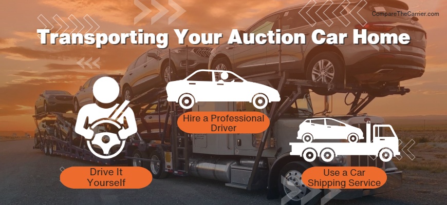 auction car shipping