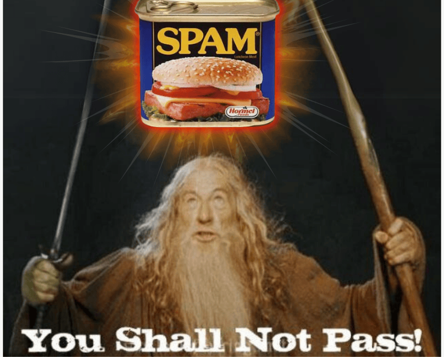 Gandalf from Lord of the Rings stopping the spam can from passing through