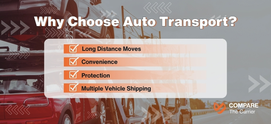 Importance of Auto Transport