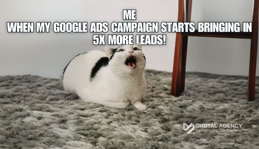 google ads cat meme