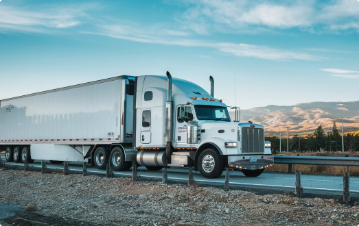 car Enclosed Auto Transport 7